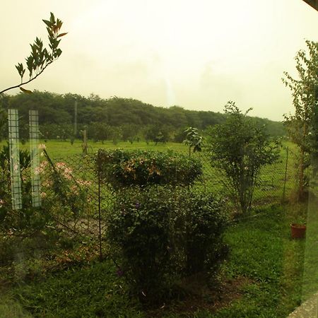 Countryside B&B Ruisui Pokój zdjęcie